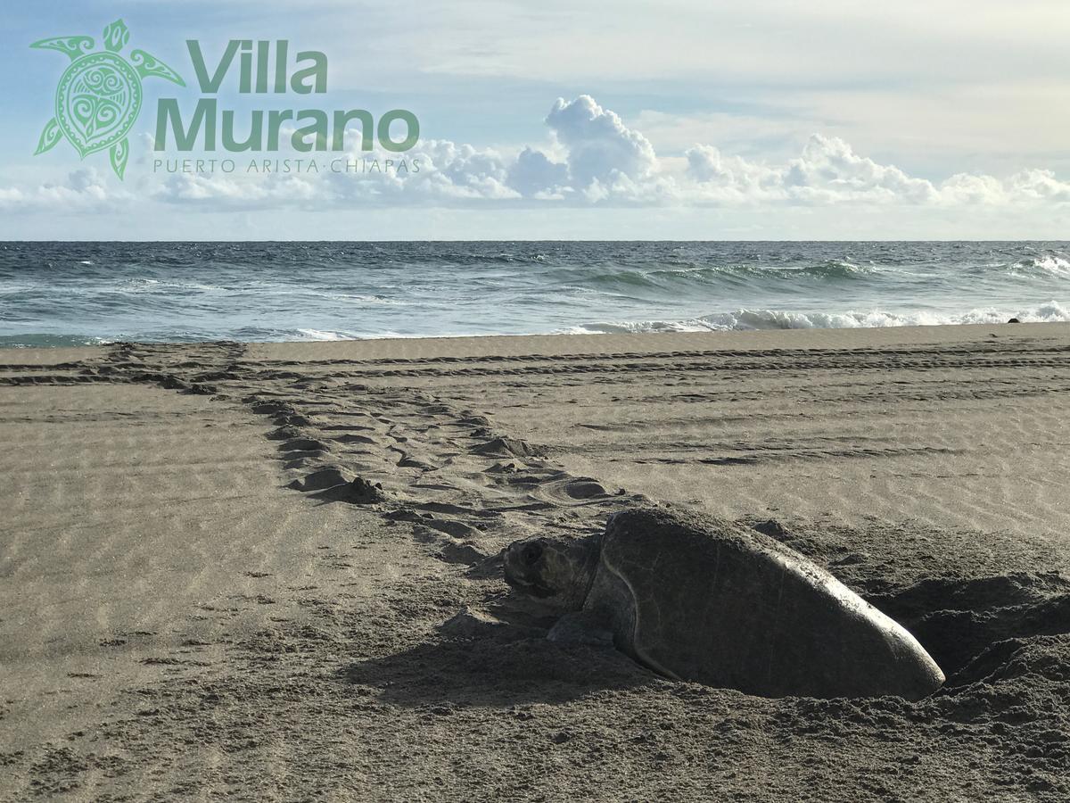 Hotel Villa Murano Puerto Arista Luaran gambar
